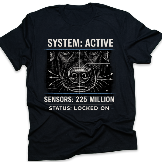 System Active